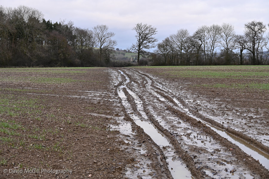 Muddy vehicle tracks on footpath